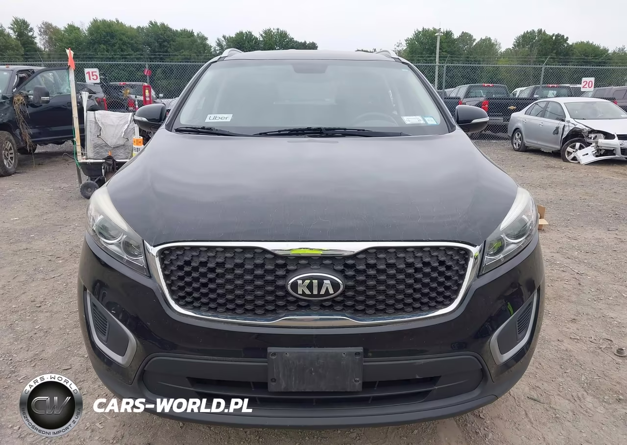2017 Kia Sorento 2.4L Lx VIN:5XYPGDA33HG289651 - 12