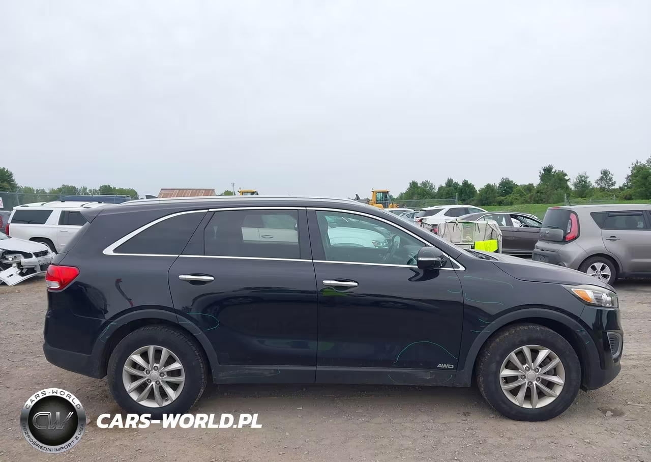 2017 Kia Sorento 2.4L Lx VIN:5XYPGDA33HG289651 - 13