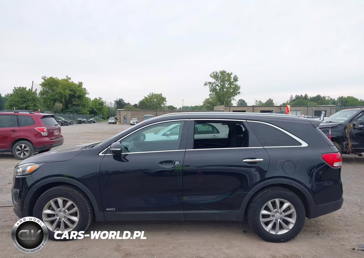 2017 Kia Sorento 2.4L Lx VIN:5XYPGDA33HG289651 - 14