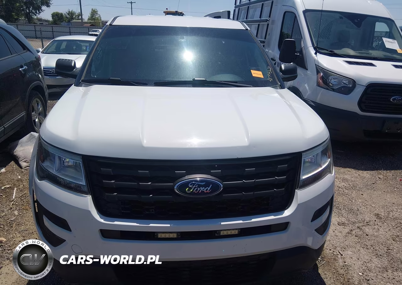 2018 Ford Police Interceptor Utility VIN:1FM5K8AR6JGC56398 - 13