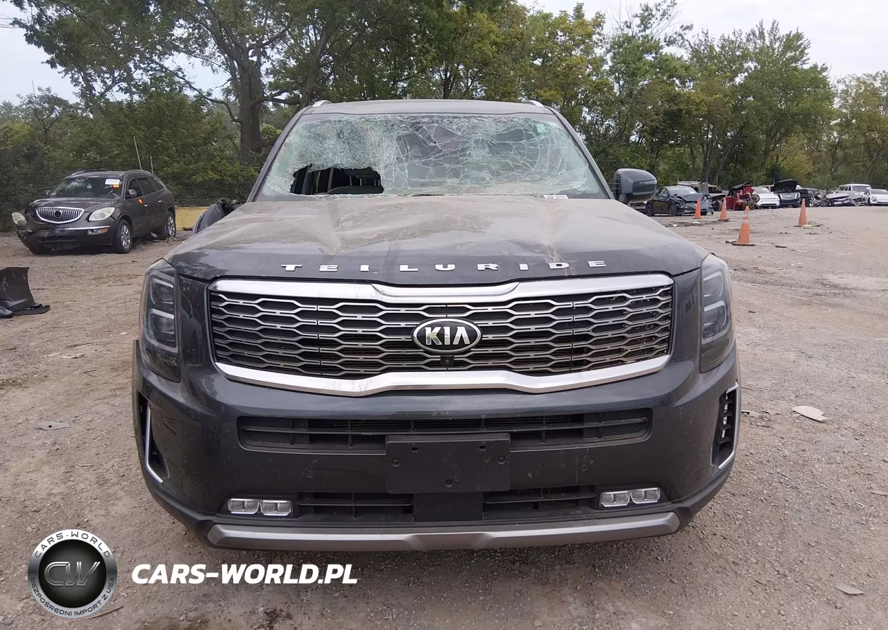 2020 Kia Telluride Sx VIN:5XYP5DHC6LG037168 - 12