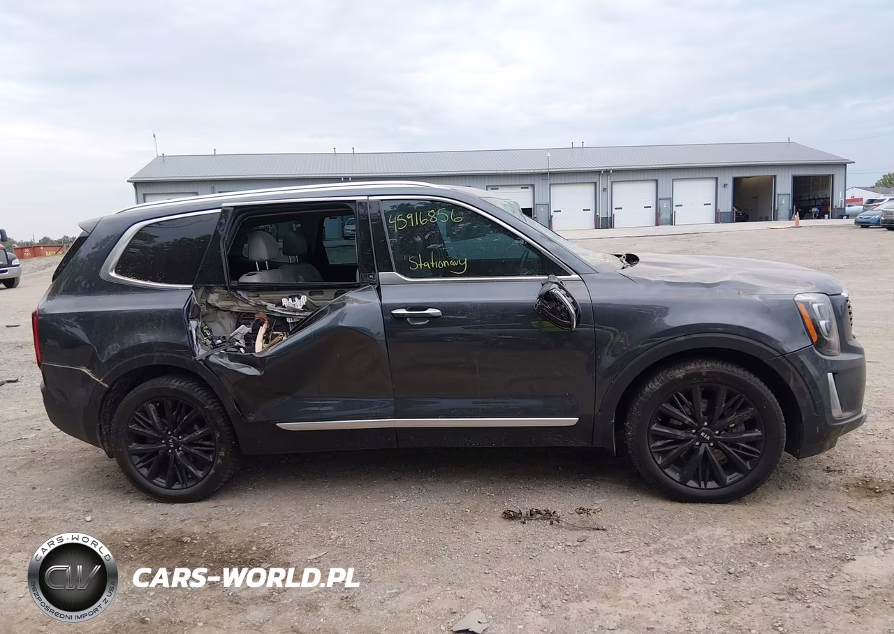 2020 Kia Telluride Sx VIN:5XYP5DHC6LG037168 - 13