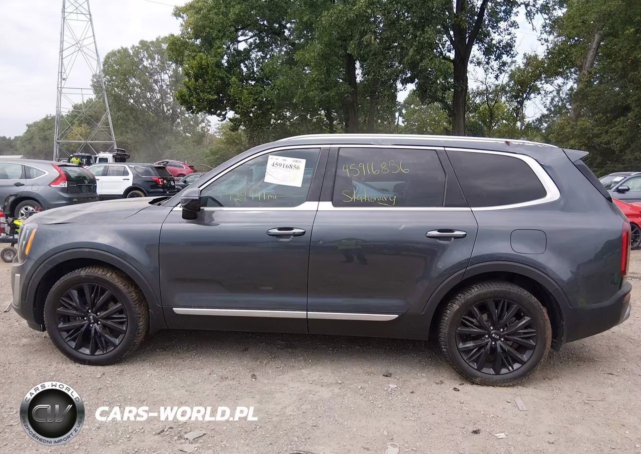 2020 Kia Telluride Sx VIN:5XYP5DHC6LG037168 - 14