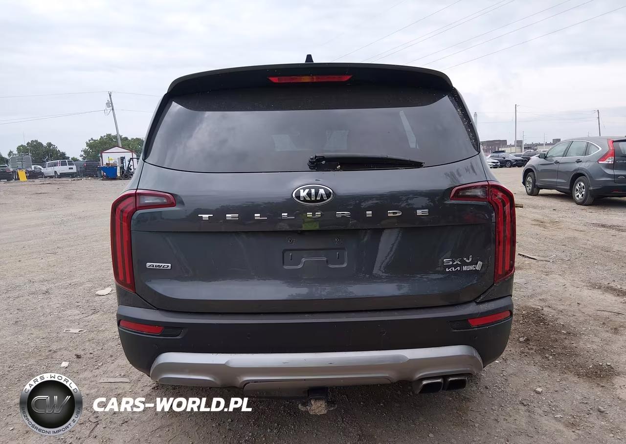 2020 Kia Telluride Sx VIN:5XYP5DHC6LG037168 - 16