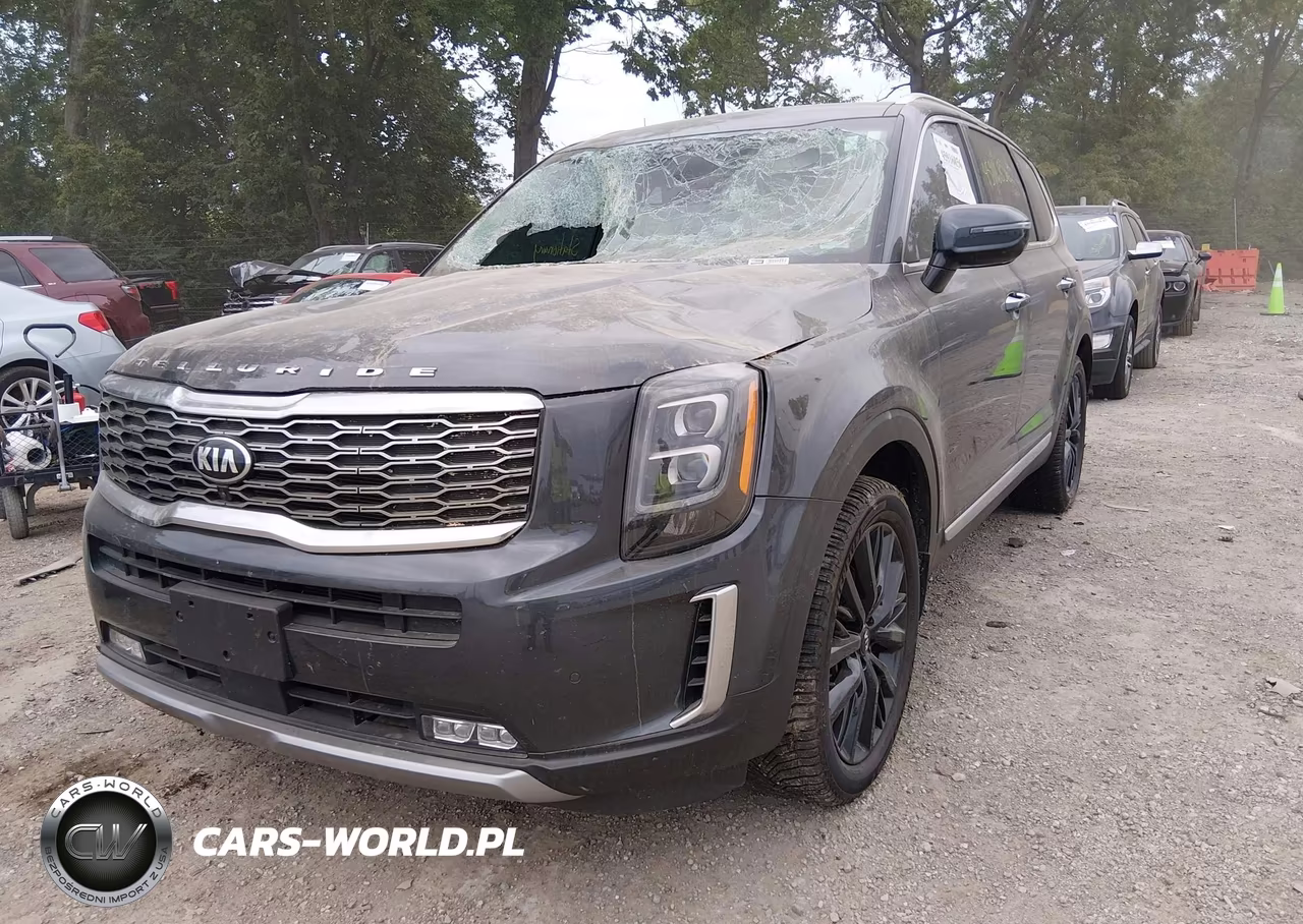 2020 Kia Telluride Sx VIN:5XYP5DHC6LG037168 - 2