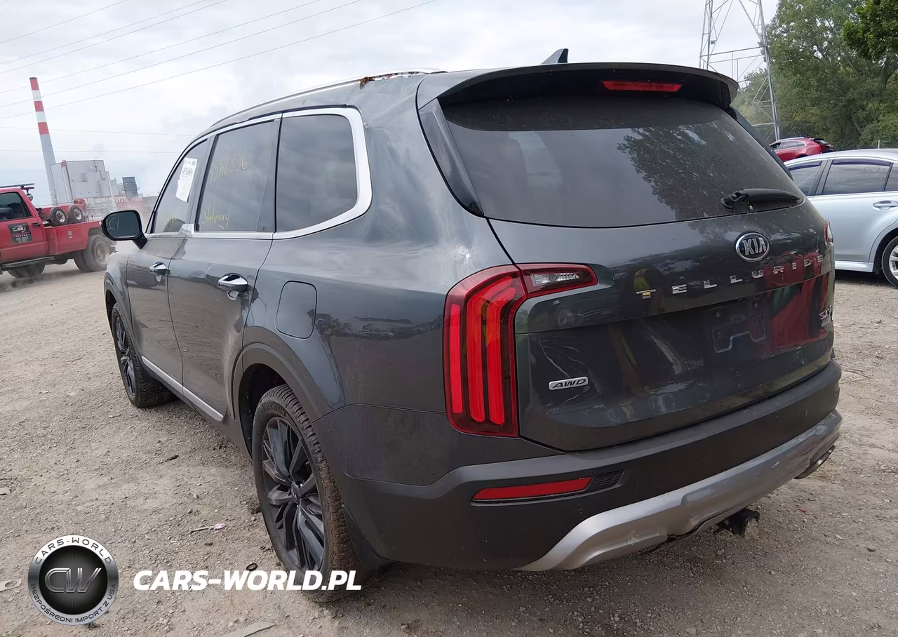 2020 Kia Telluride Sx VIN:5XYP5DHC6LG037168 - 3