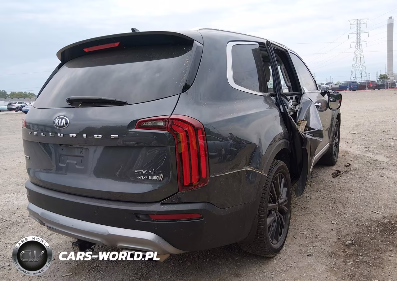 2020 Kia Telluride Sx VIN:5XYP5DHC6LG037168 - 4