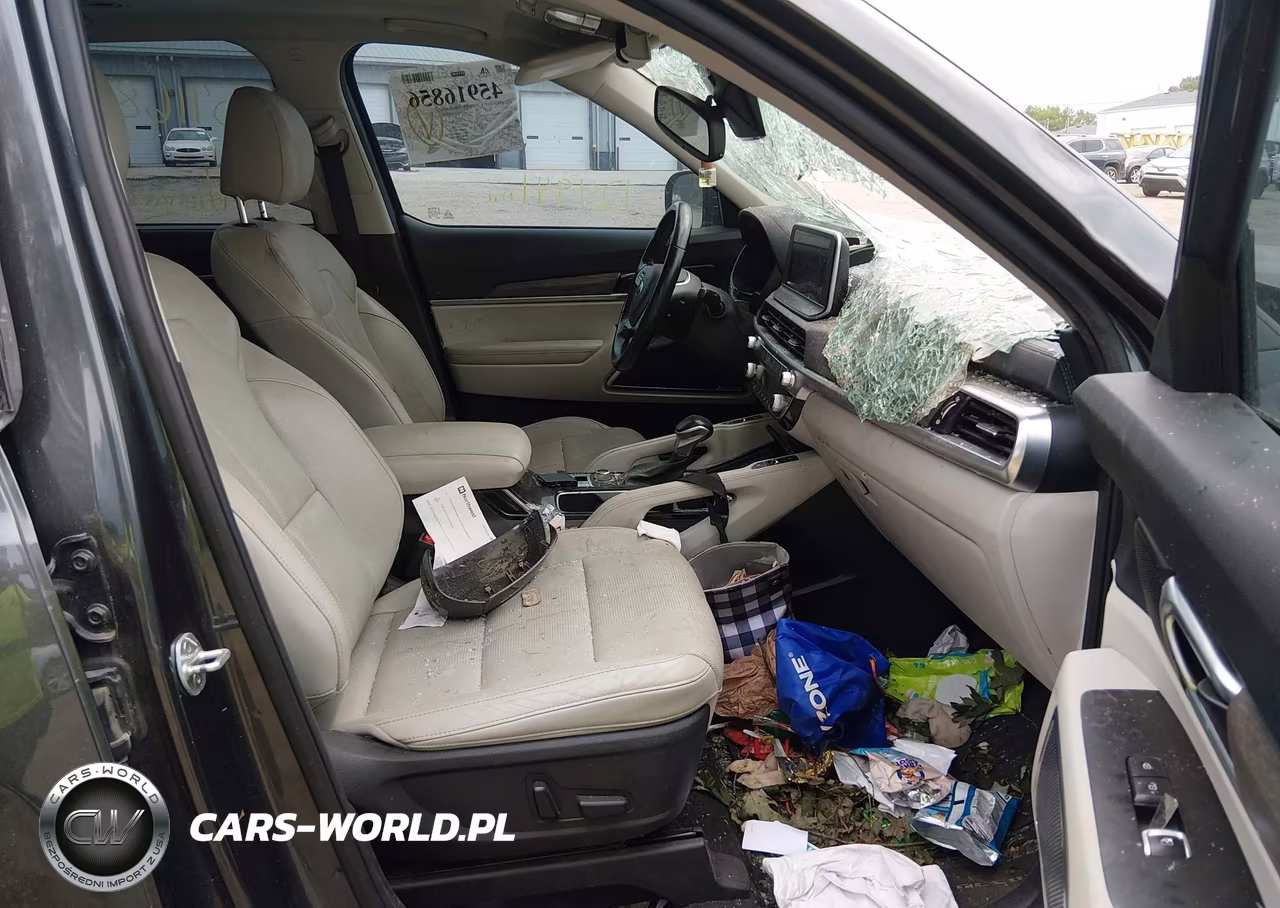 2020 Kia Telluride Sx VIN:5XYP5DHC6LG037168 - 5