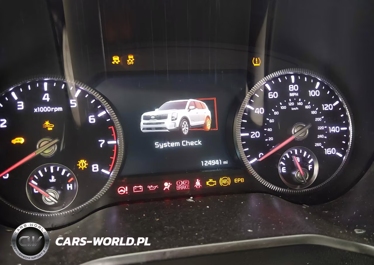 2020 Kia Telluride Sx VIN:5XYP5DHC6LG037168 - 7