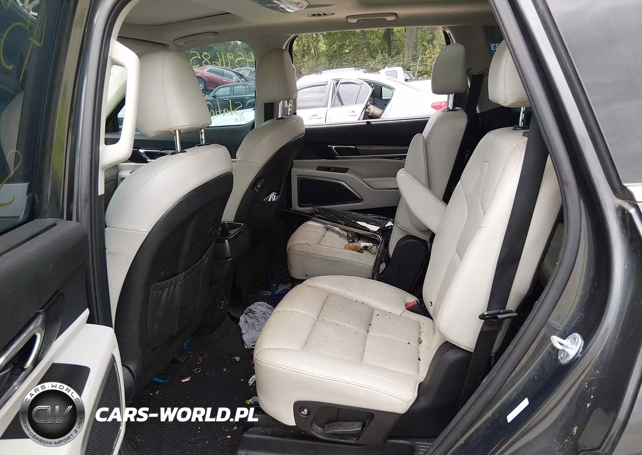 2020 Kia Telluride Sx VIN:5XYP5DHC6LG037168 - 8