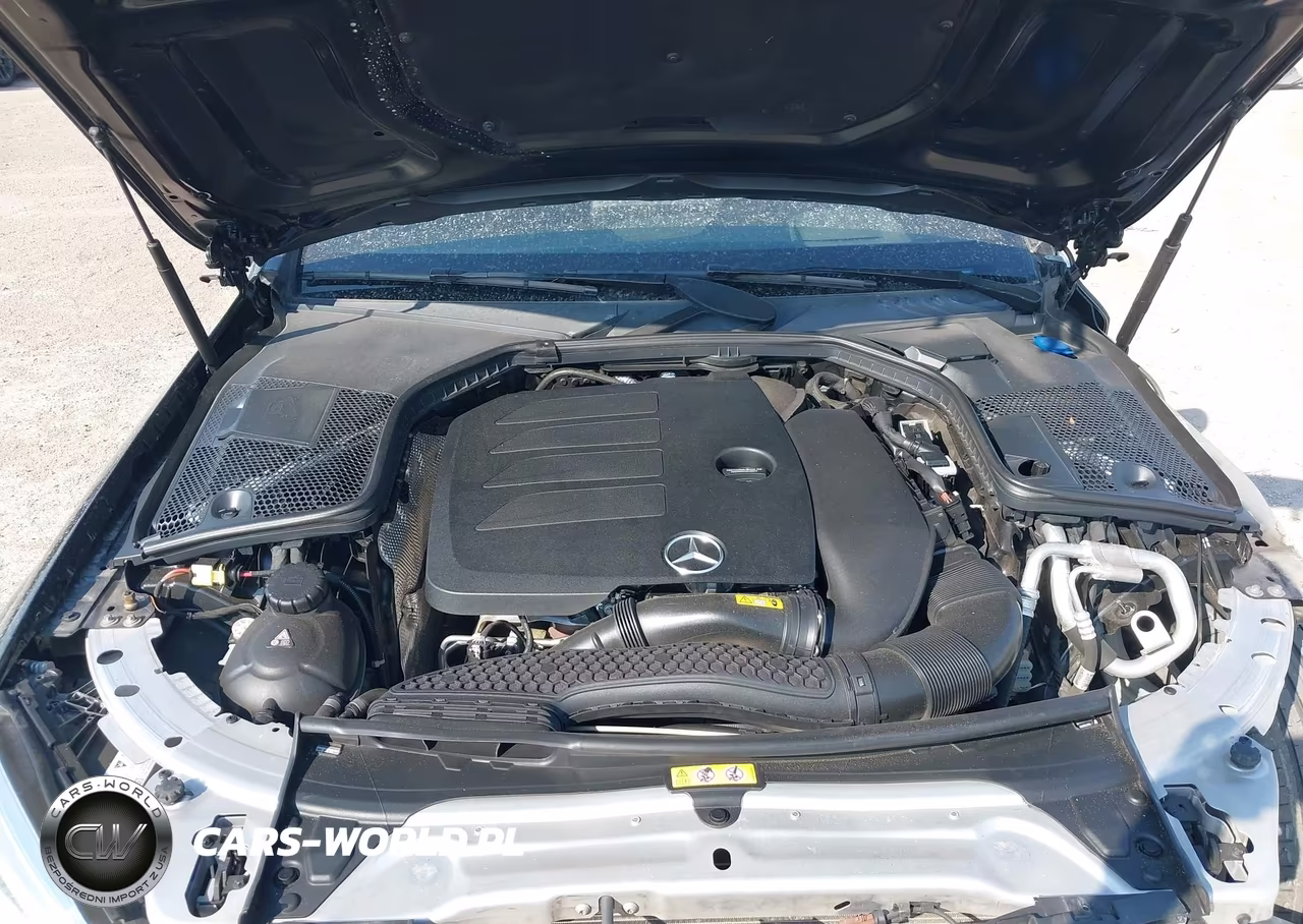 2019 Mercedes-Benz C 300 VIN:WDDWK8DB0KF928007 - 10