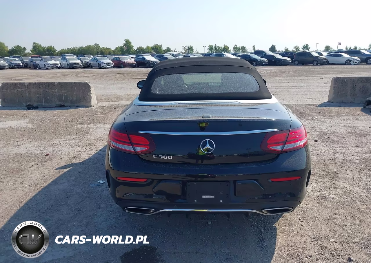 2019 Mercedes-Benz C 300 VIN:WDDWK8DB0KF928007 - 17