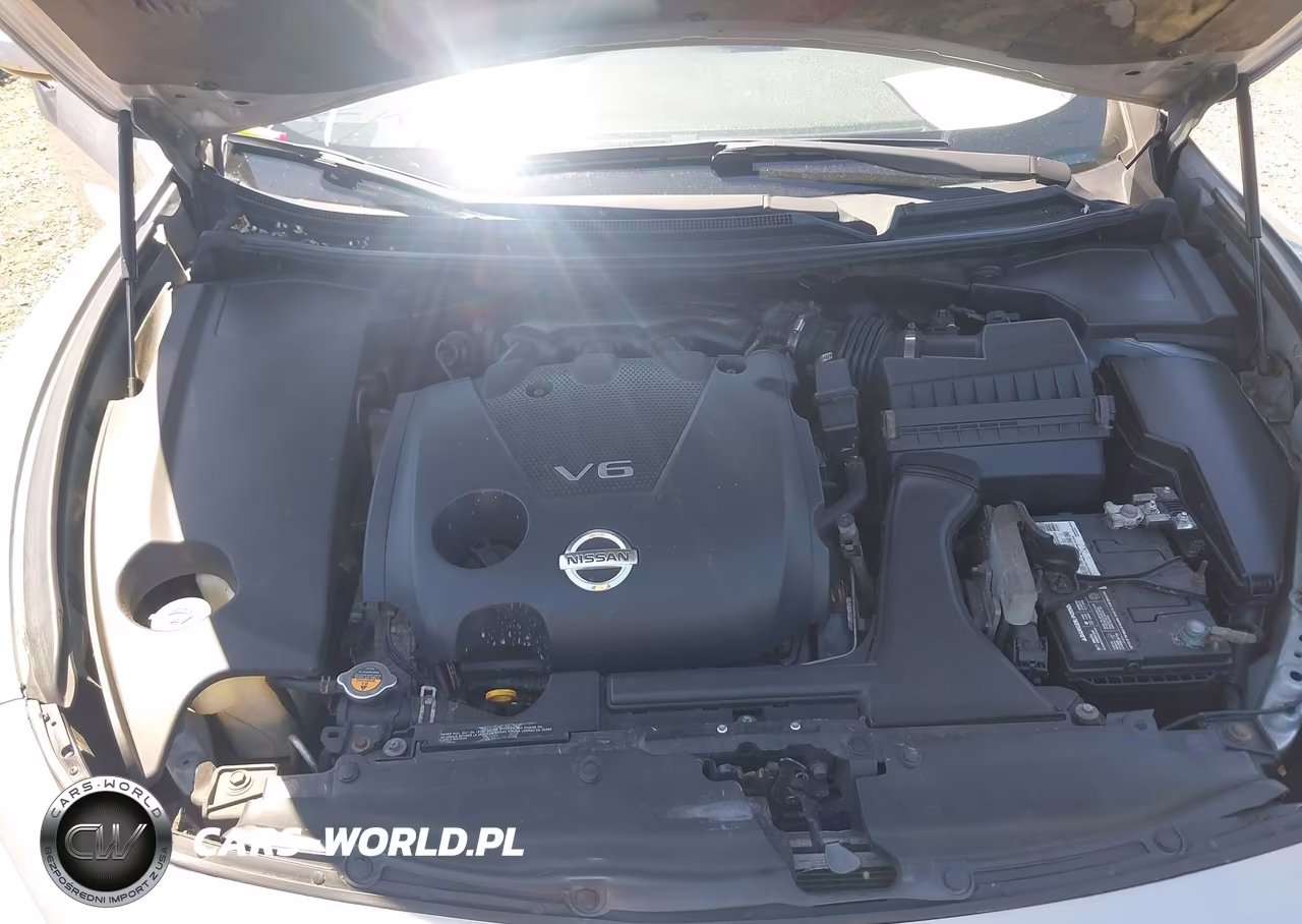 2010 Nissan Maxima 3.5 S VIN:1N4AA5AP1AC865947 - 10
