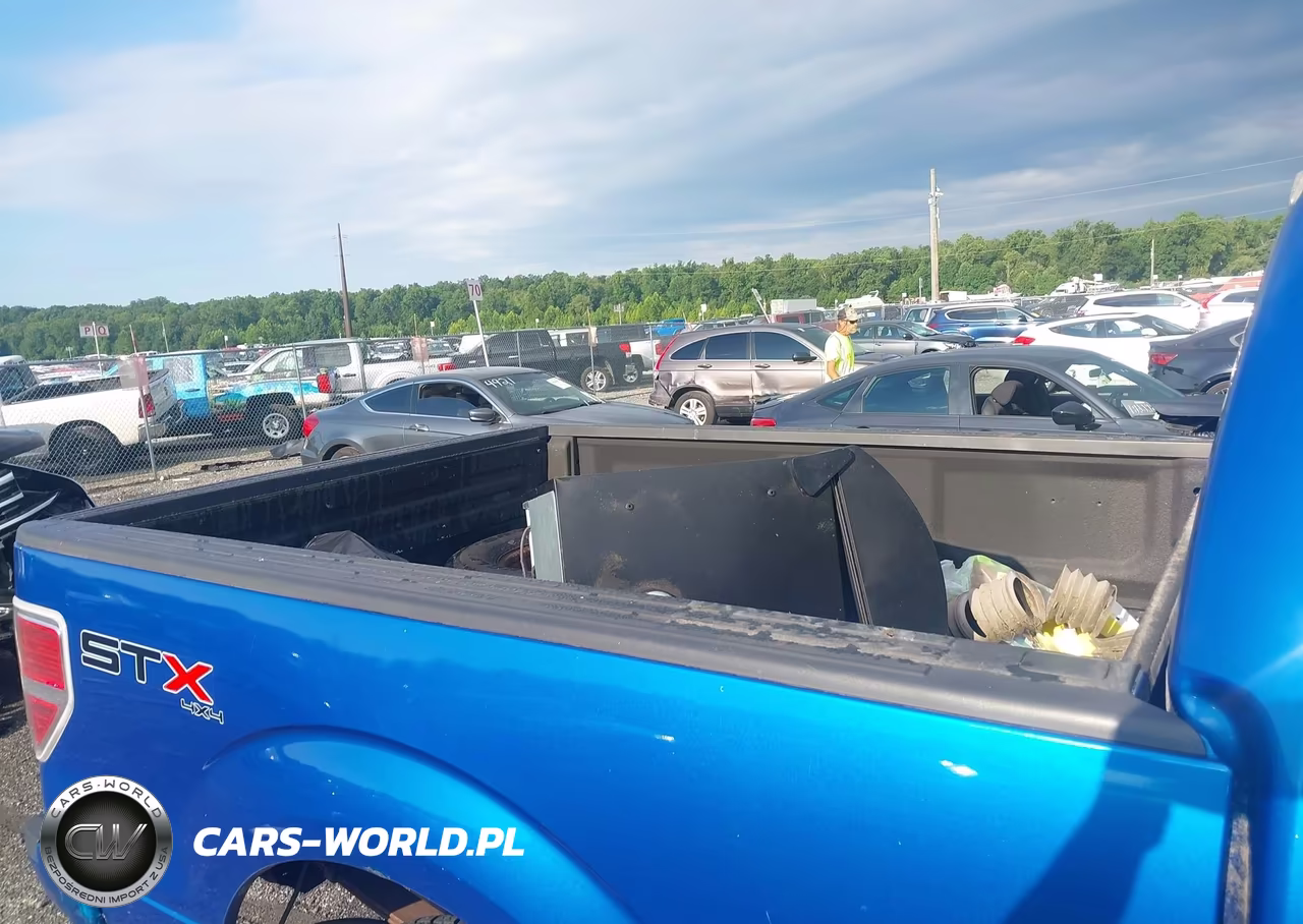 2010 Ford F-150 Stx-Xl-Xl W-Mid-Box Prep-Xlt-Xlt W-Mid-Box Prep VIN:1FTMF1EW1AKA26308 - 8