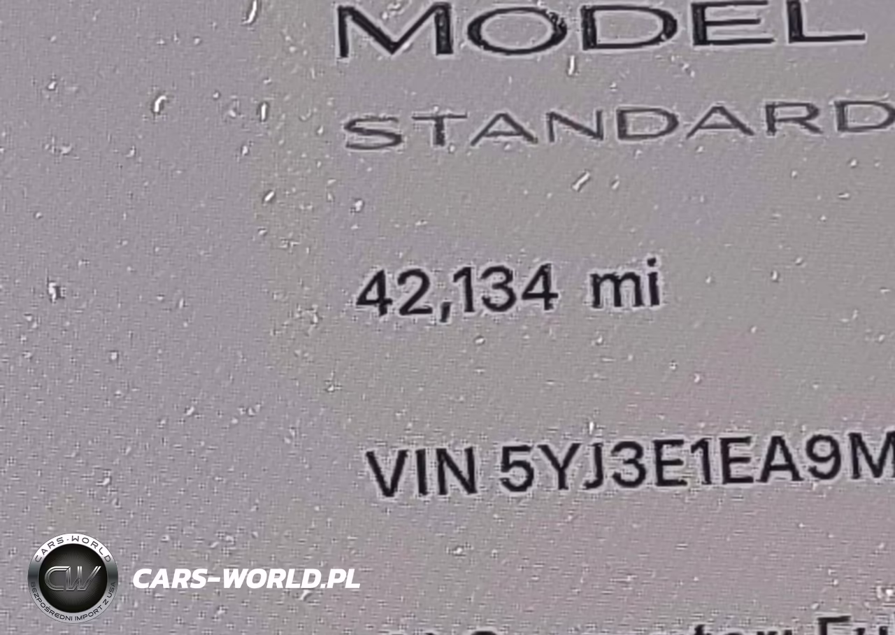 2021 Tesla Model 3 Standard Range Plus Rear-Wheel Drive VIN:5YJ3E1EA9MF976761 - 16