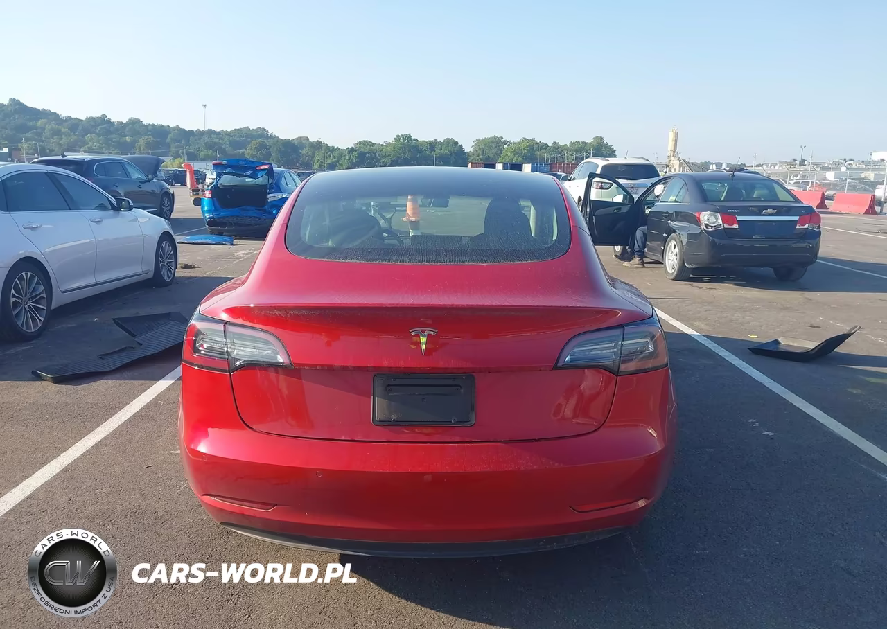2021 Tesla Model 3 Standard Range Plus Rear-Wheel Drive VIN:5YJ3E1EA9MF976761 - 17