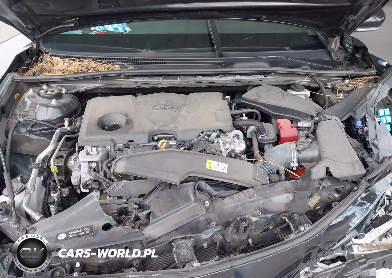 2024 Toyota Camry Le VIN:4T1R11AK8RU246838 - 10