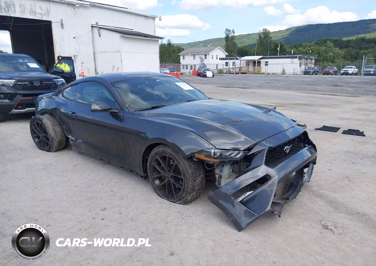 2019 Ford Mustang Ecoboost