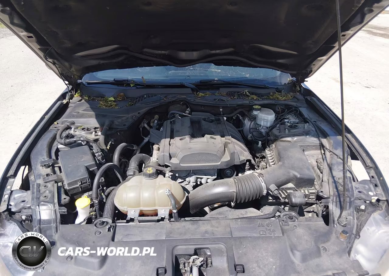 2019 Ford Mustang Ecoboost VIN:1FA6P8TH9K5105671 - 10