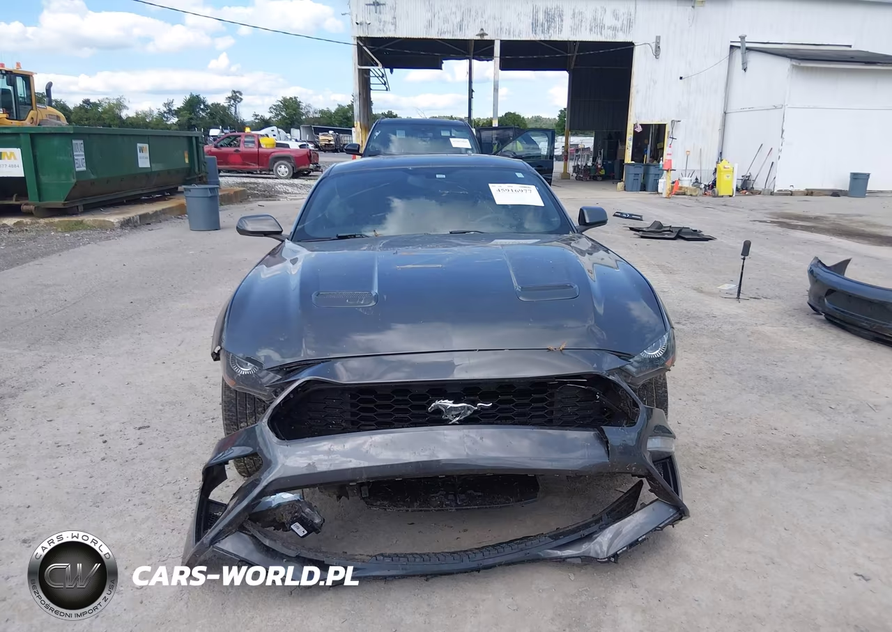 2019 Ford Mustang Ecoboost VIN:1FA6P8TH9K5105671 - 13