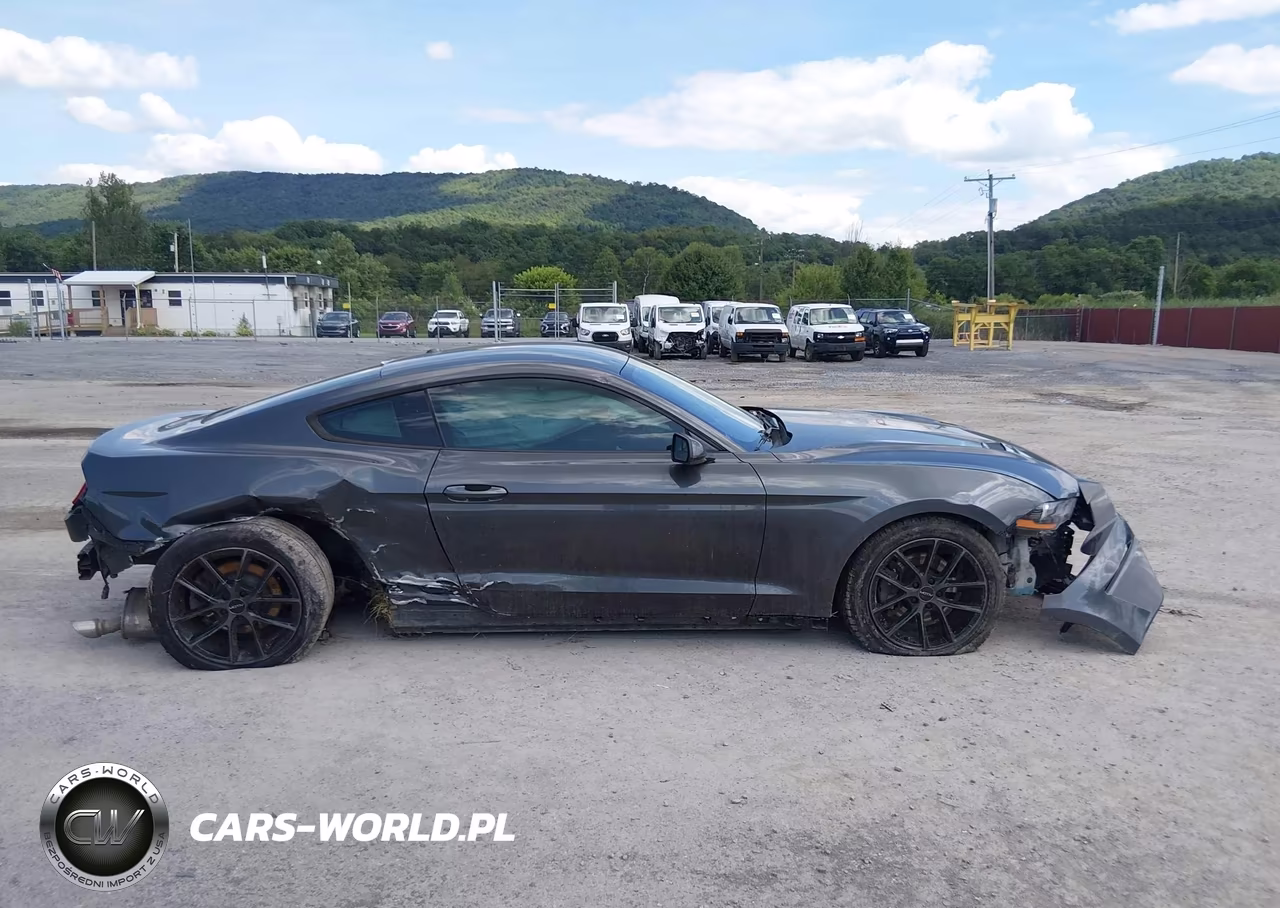 2019 Ford Mustang Ecoboost VIN:1FA6P8TH9K5105671 - 14