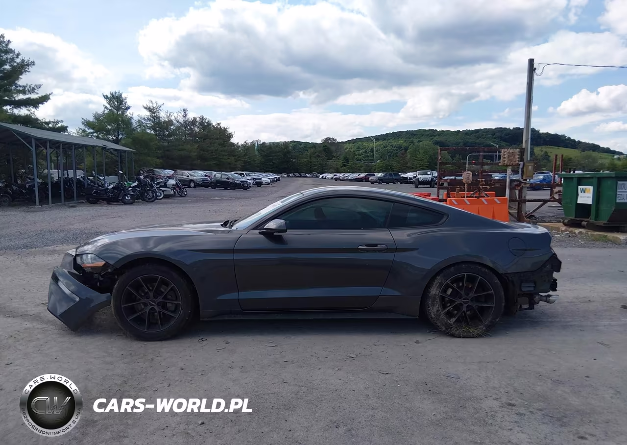 2019 Ford Mustang Ecoboost VIN:1FA6P8TH9K5105671 - 15