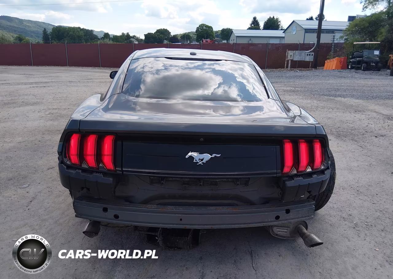 2019 Ford Mustang Ecoboost VIN:1FA6P8TH9K5105671 - 17