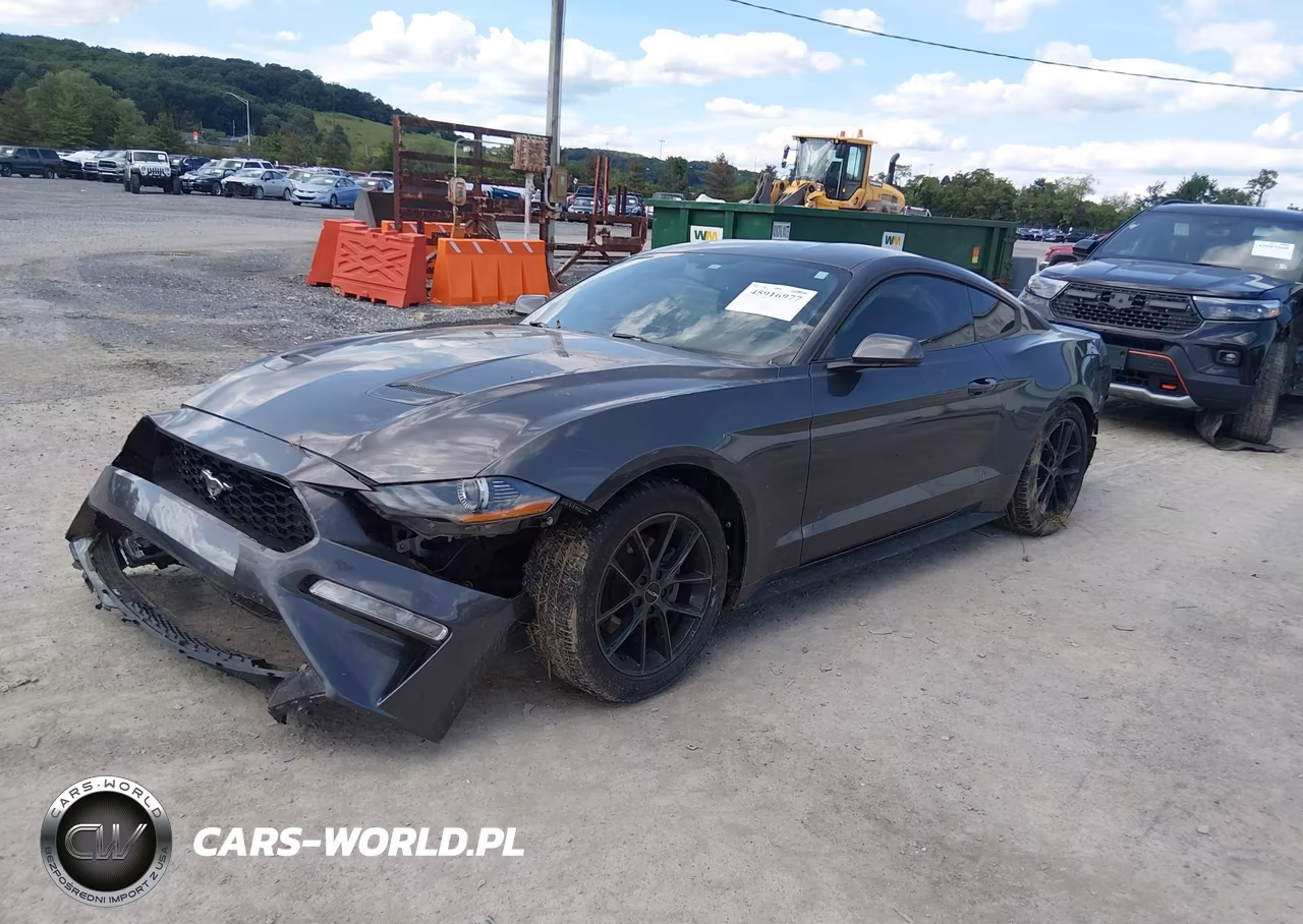 2019 Ford Mustang Ecoboost VIN:1FA6P8TH9K5105671 - 2