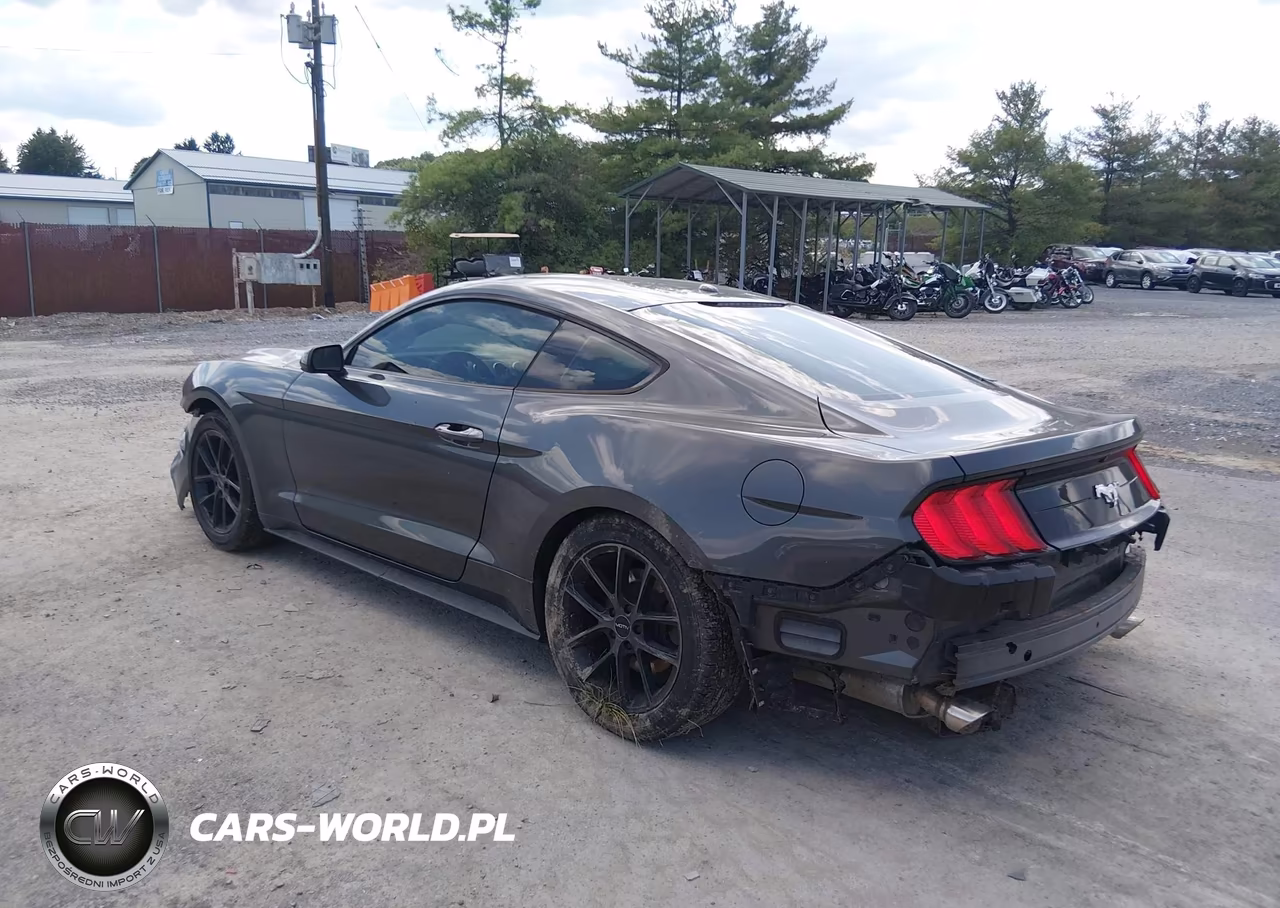 2019 Ford Mustang Ecoboost VIN:1FA6P8TH9K5105671 - 3
