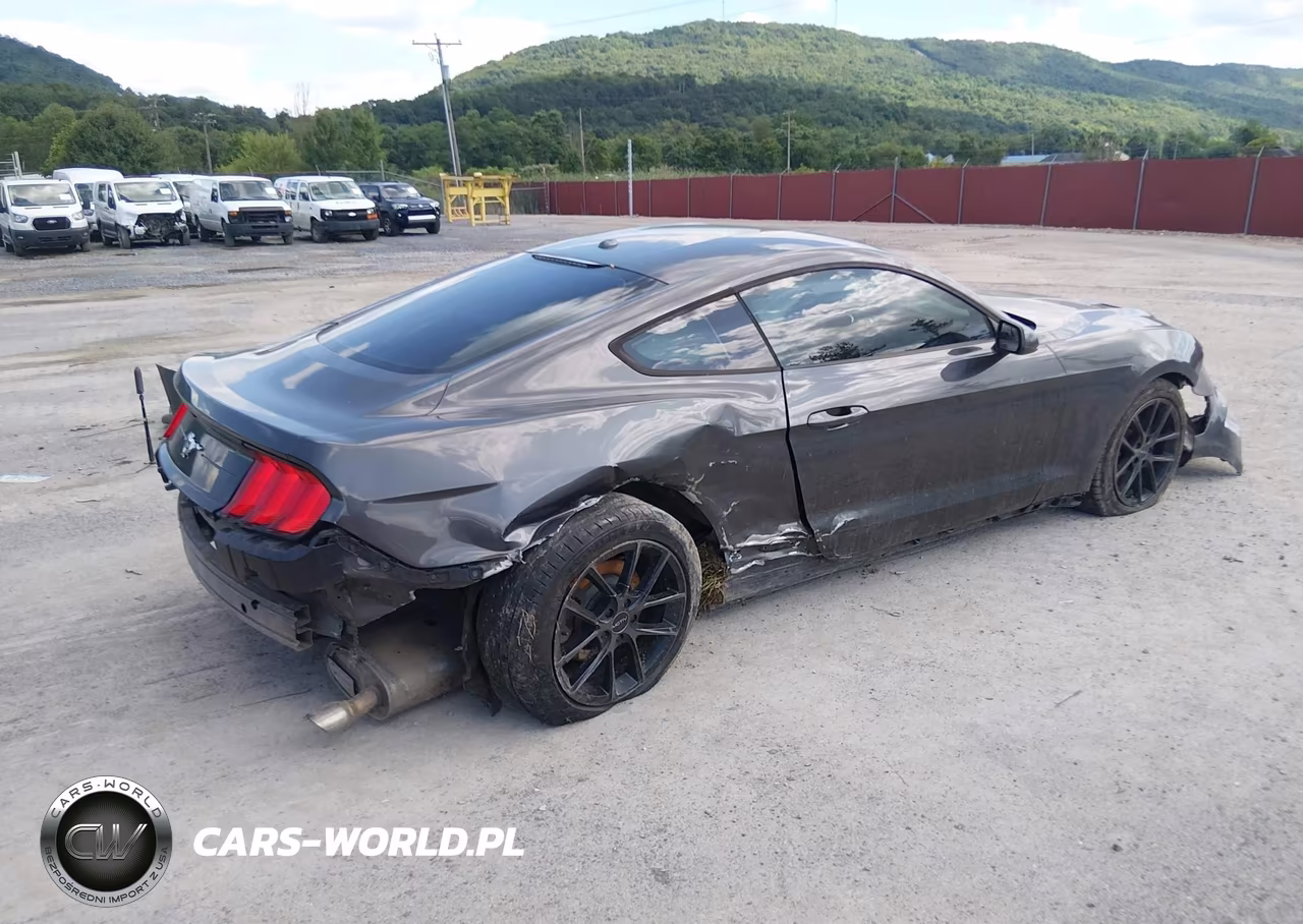 2019 Ford Mustang Ecoboost VIN:1FA6P8TH9K5105671 - 4