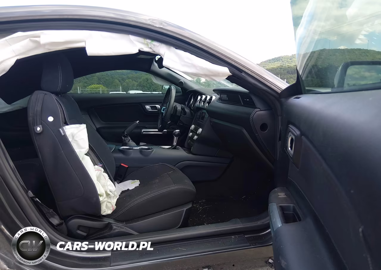 2019 Ford Mustang Ecoboost VIN:1FA6P8TH9K5105671 - 5