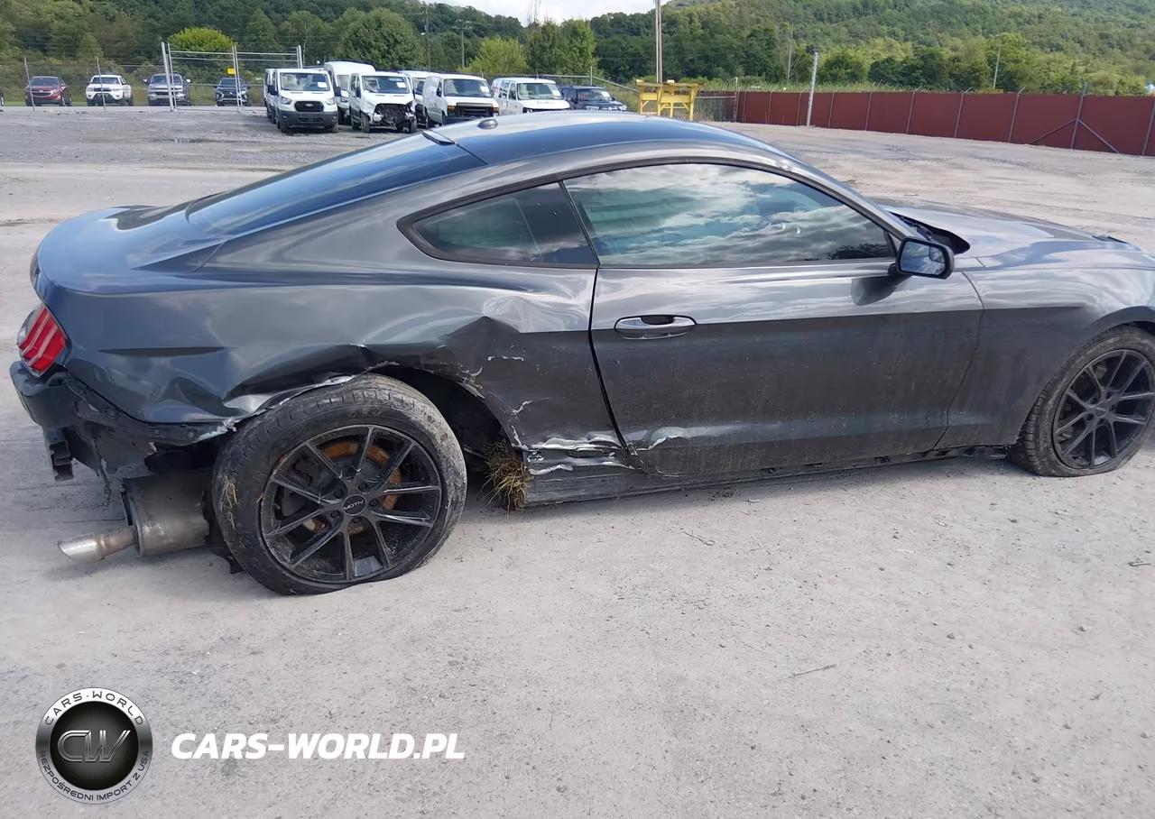 2019 Ford Mustang Ecoboost VIN:1FA6P8TH9K5105671 - 6