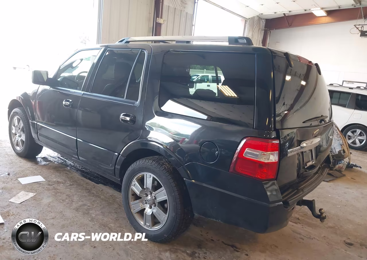 2010 Ford Expedition Limited VIN:1FMJU2A53AEB65720 - 3