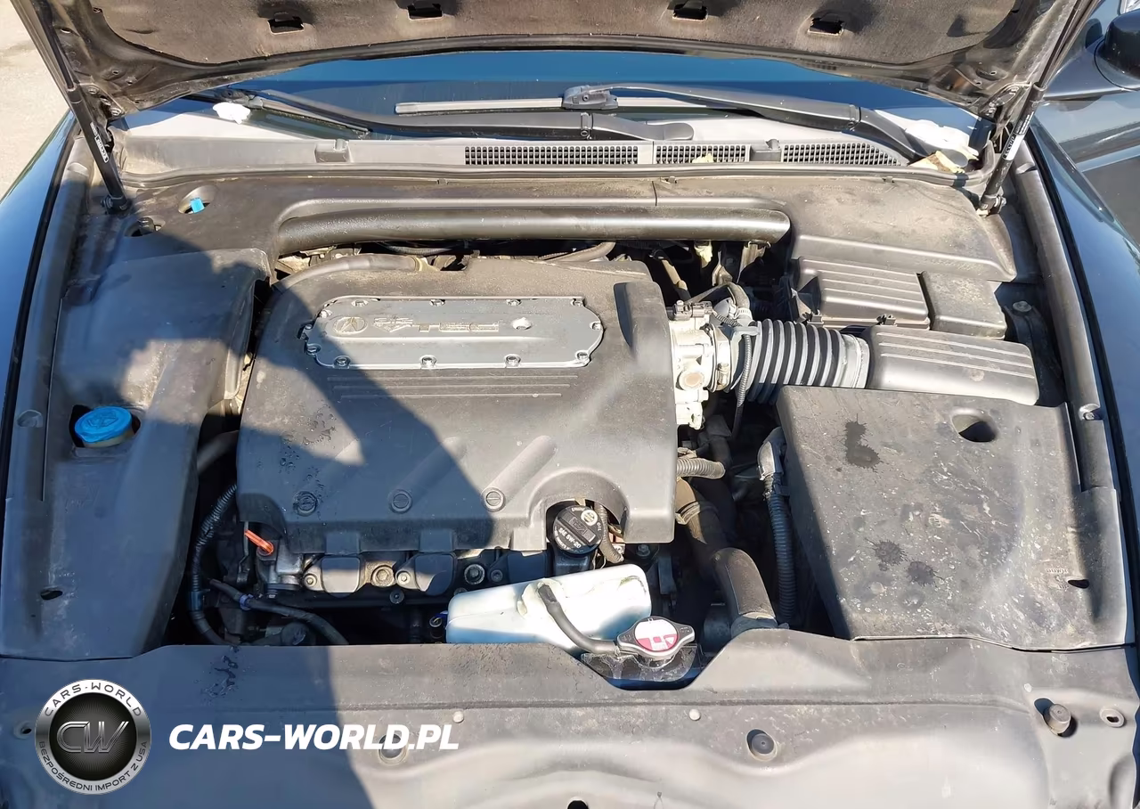 2006 Acura Tl VIN:19UUA66226A056455 - 10