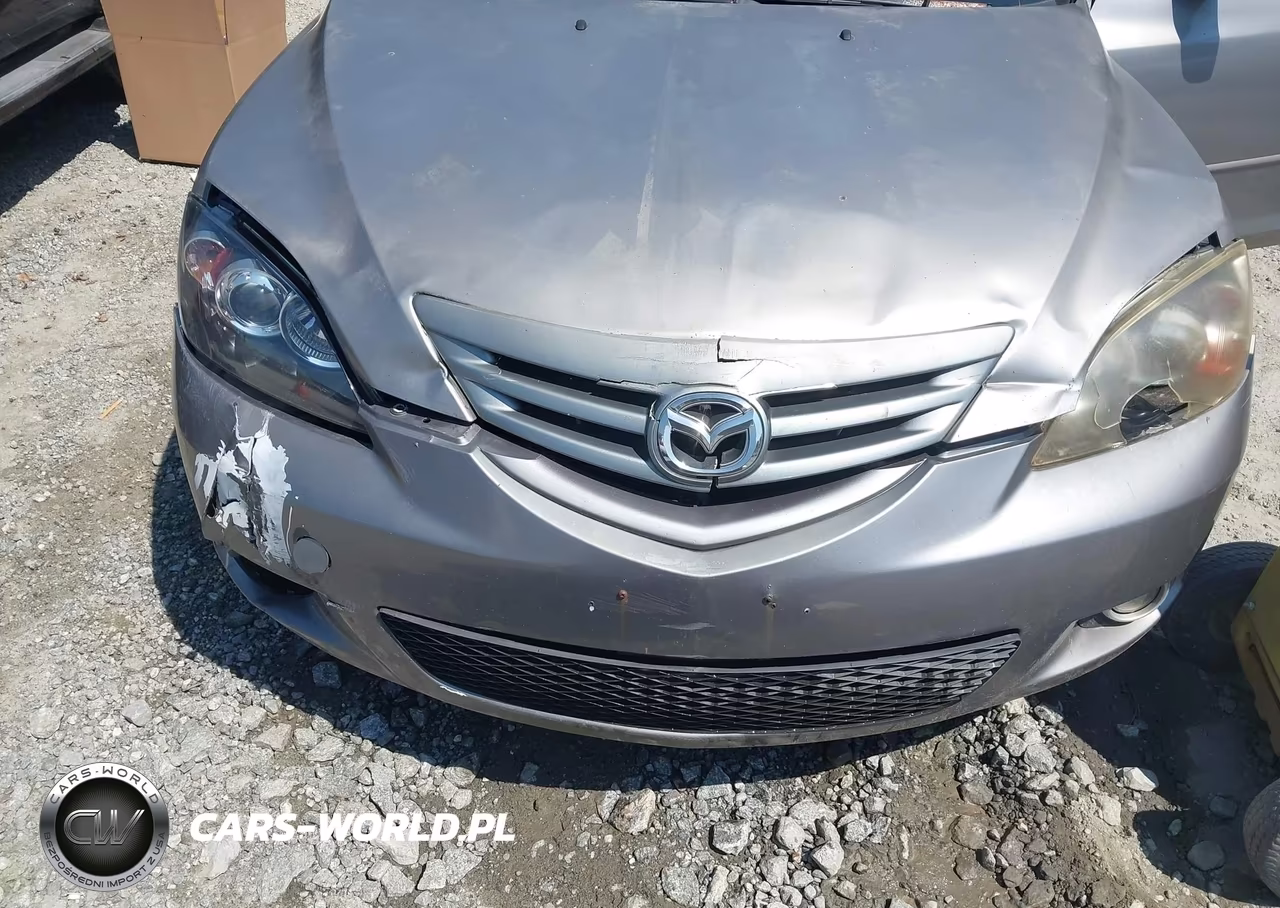 2004 Mazda Mazda3 S VIN:JM1BK143541128604 - 6