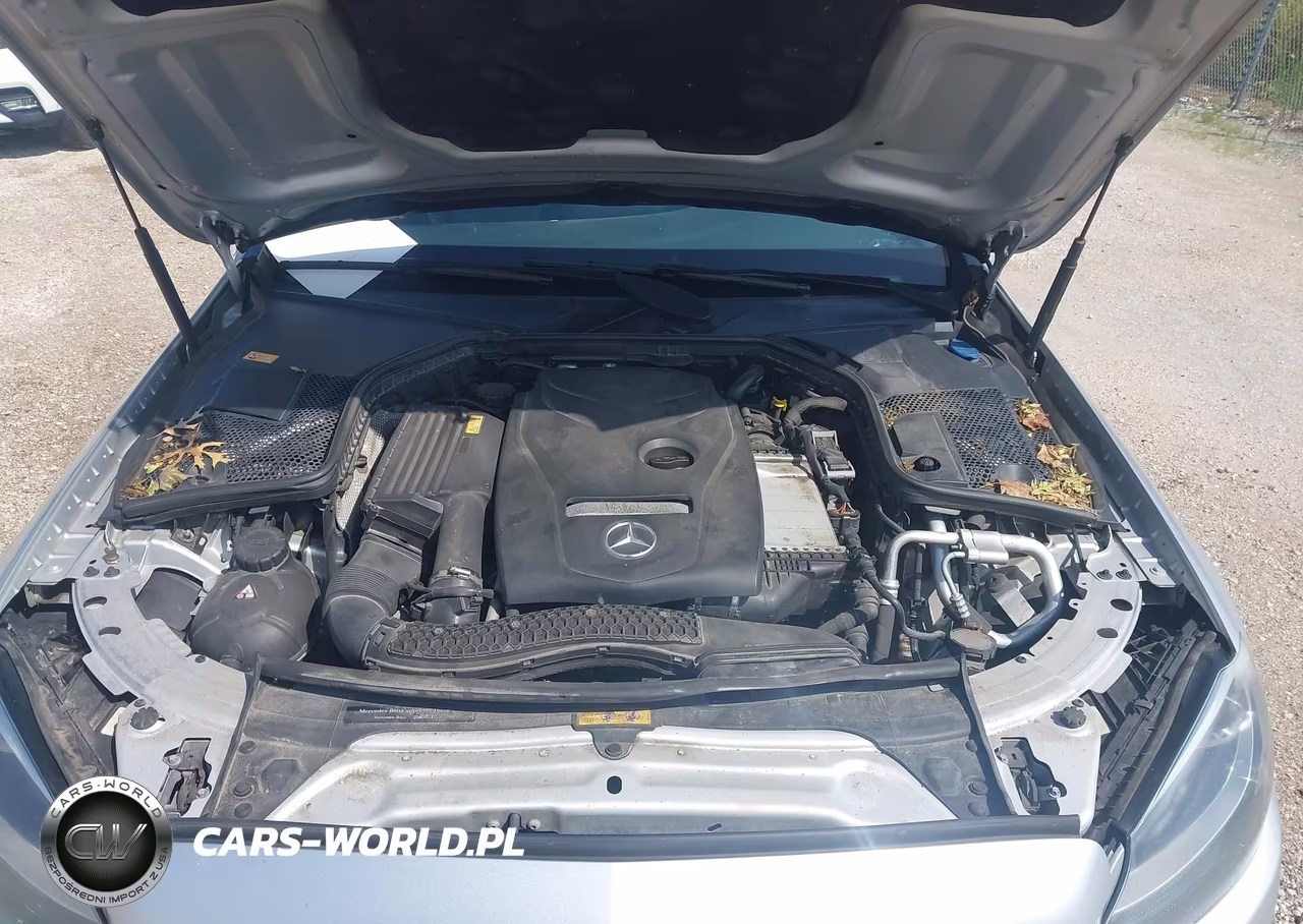 2016 Mercedes-Benz C 300 4Matic VIN:55SWF4KB8GU112912 - 10