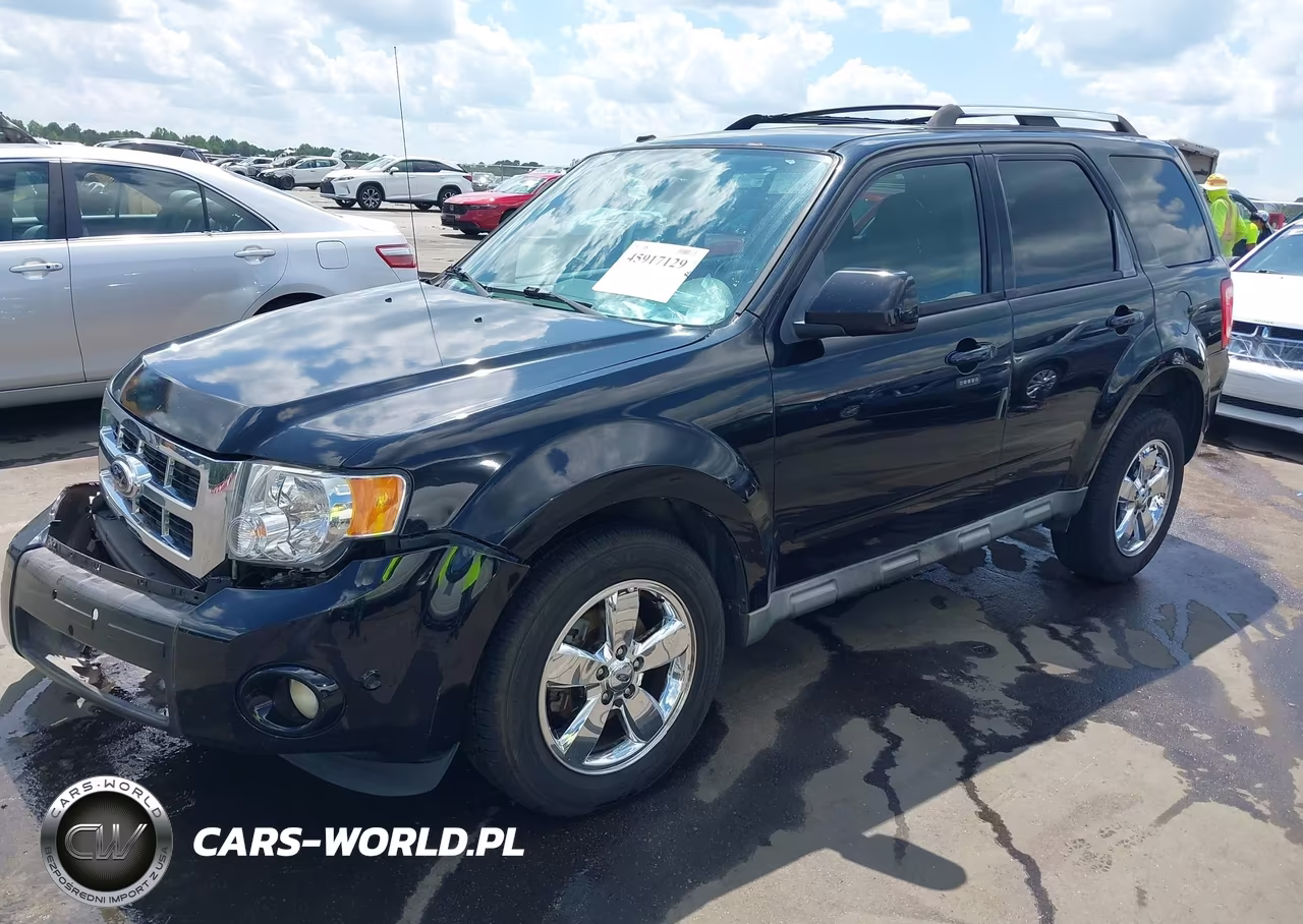 2010 Ford Escape Limited VIN:1FMCU0EG0AKC87770 - 2