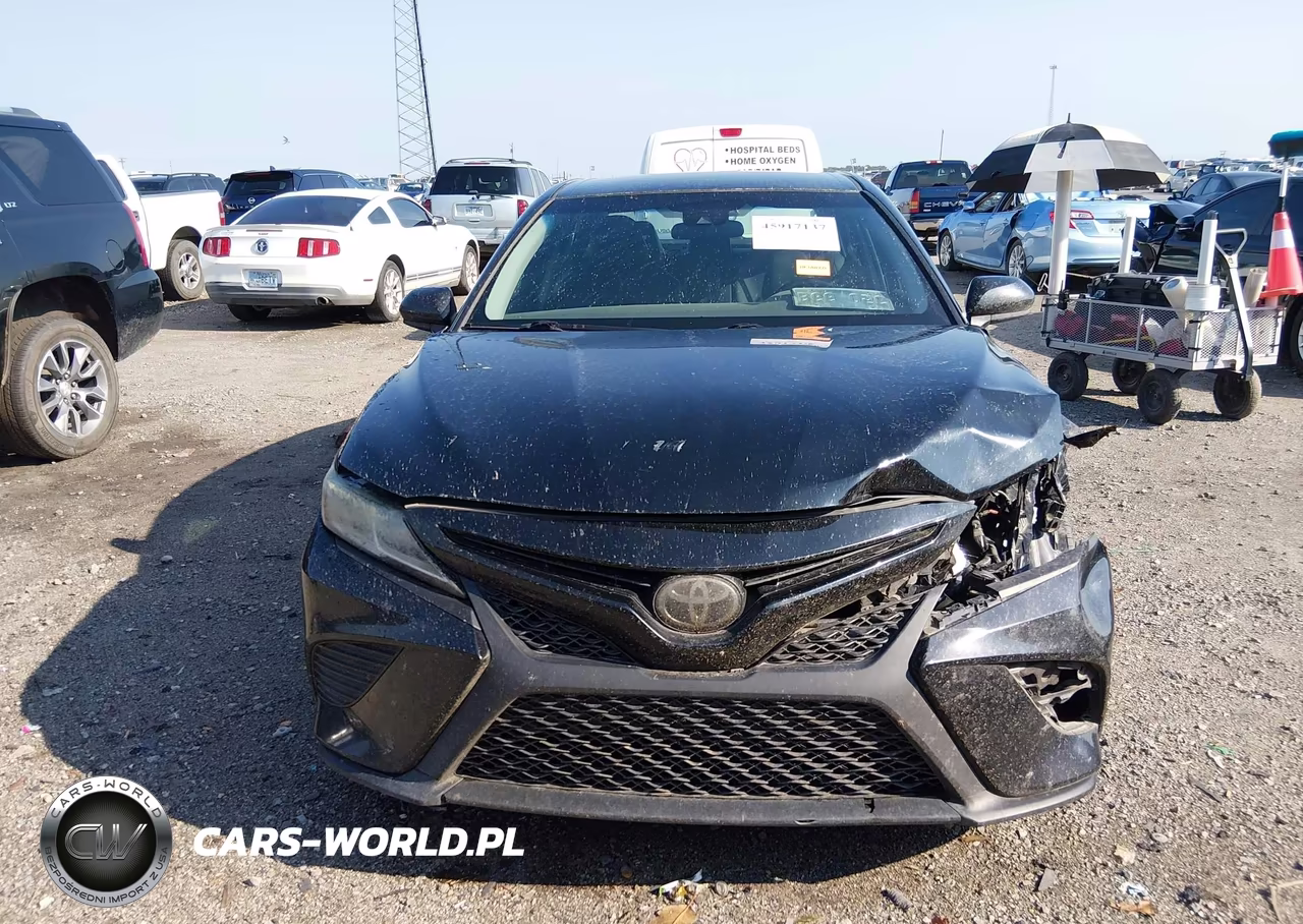 2019 Toyota Camry Se VIN:4T1B11HK0KU782700 - 12