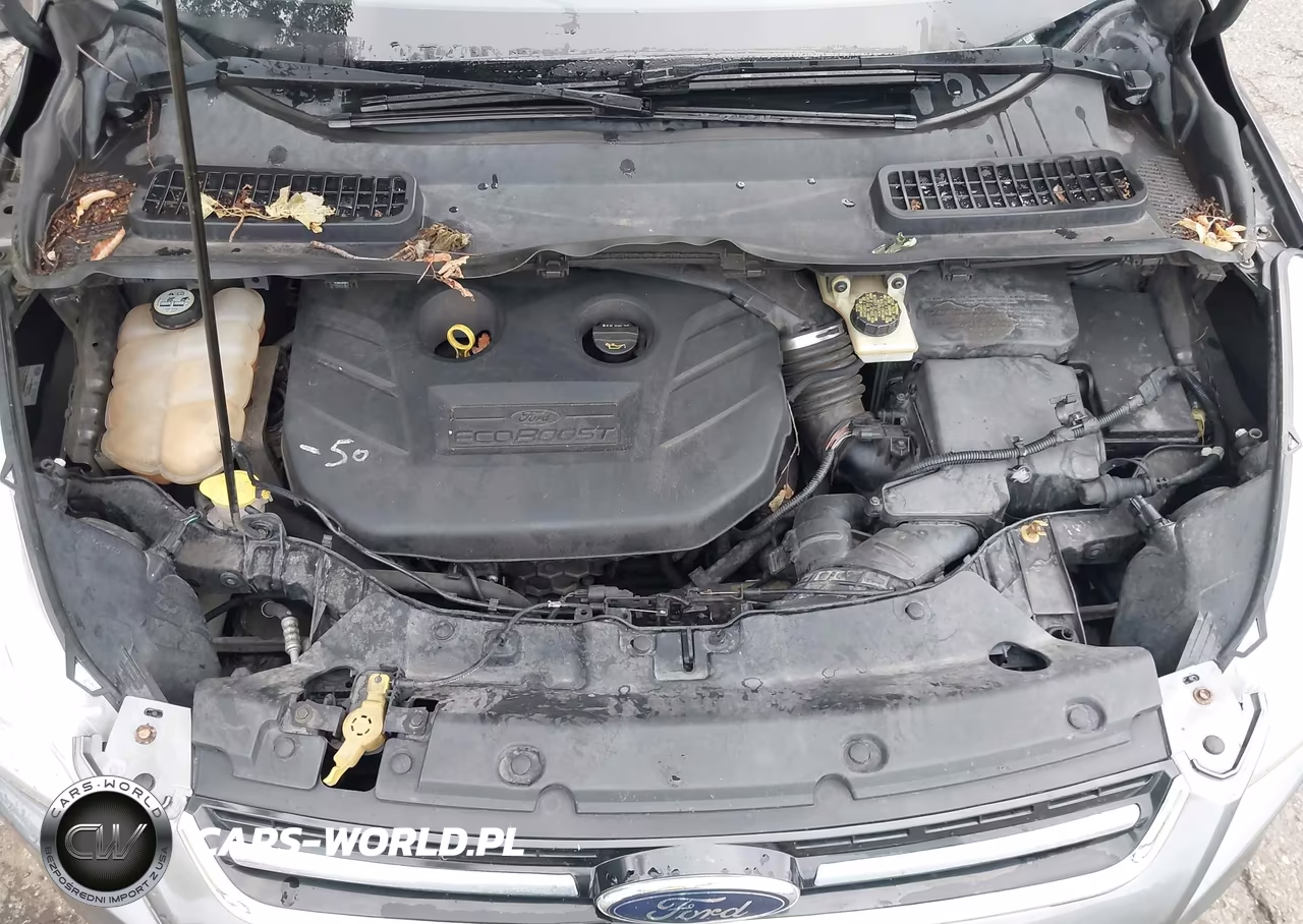 2013 Ford Escape Sel VIN:1FMCU9H92DUD59756 - 10
