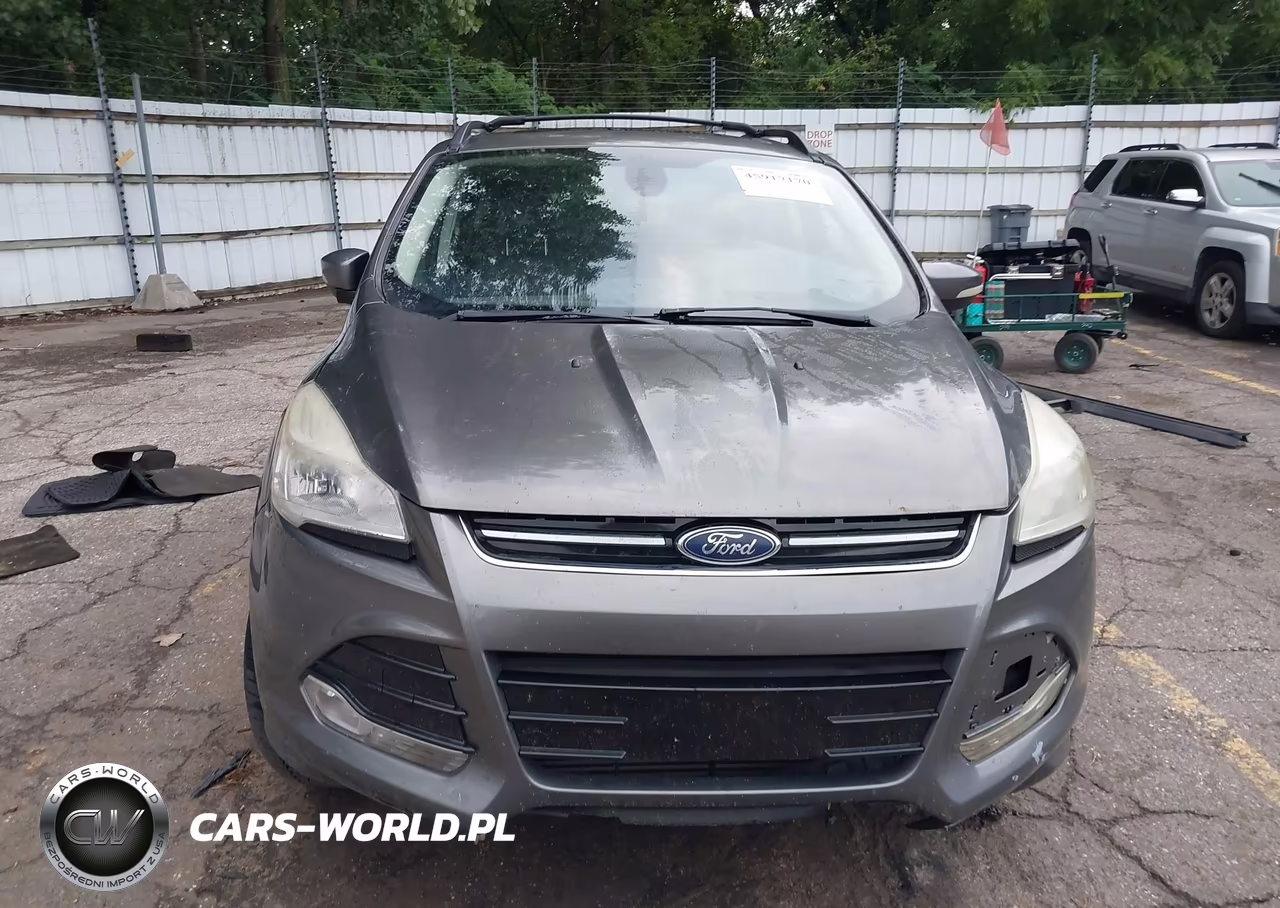 2013 Ford Escape Sel VIN:1FMCU9H92DUD59756 - 13