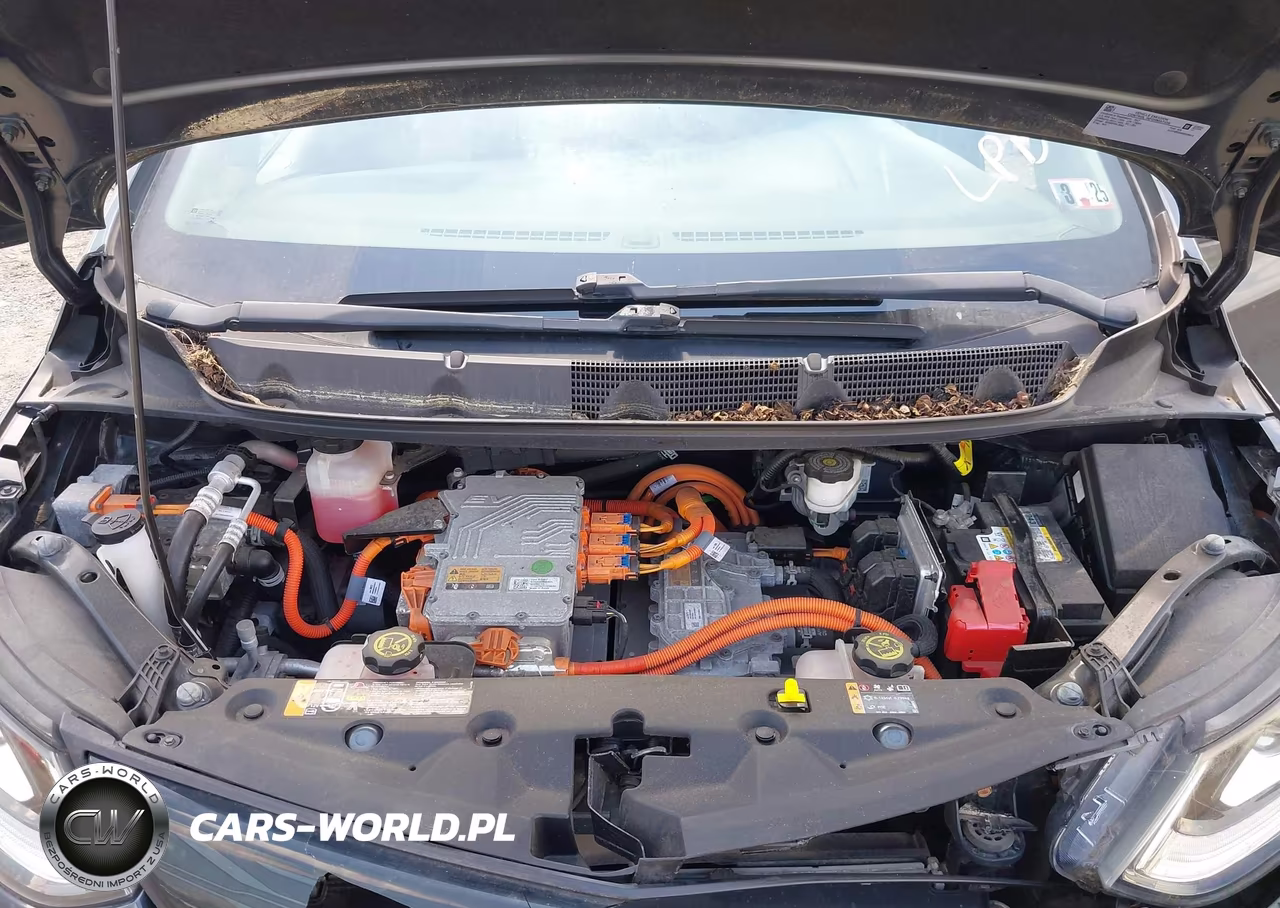 2017 Chevrolet Bolt Ev Lt VIN:1G1FW6S04H4189614 - 10