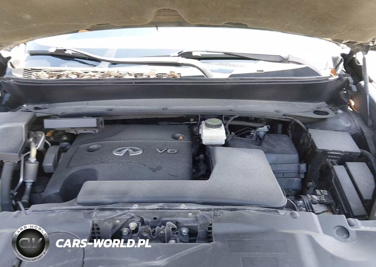 2015 Infiniti Qx60 VIN:5N1AL0MN1FC541899 - 10