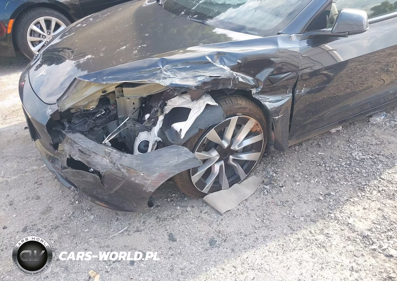 2025 Tesla Model 3 Long Range Rear-Wheel Drive-Standard Rear-Wheel Drive VIN:5YJ3E1EA8SF052020 - 6