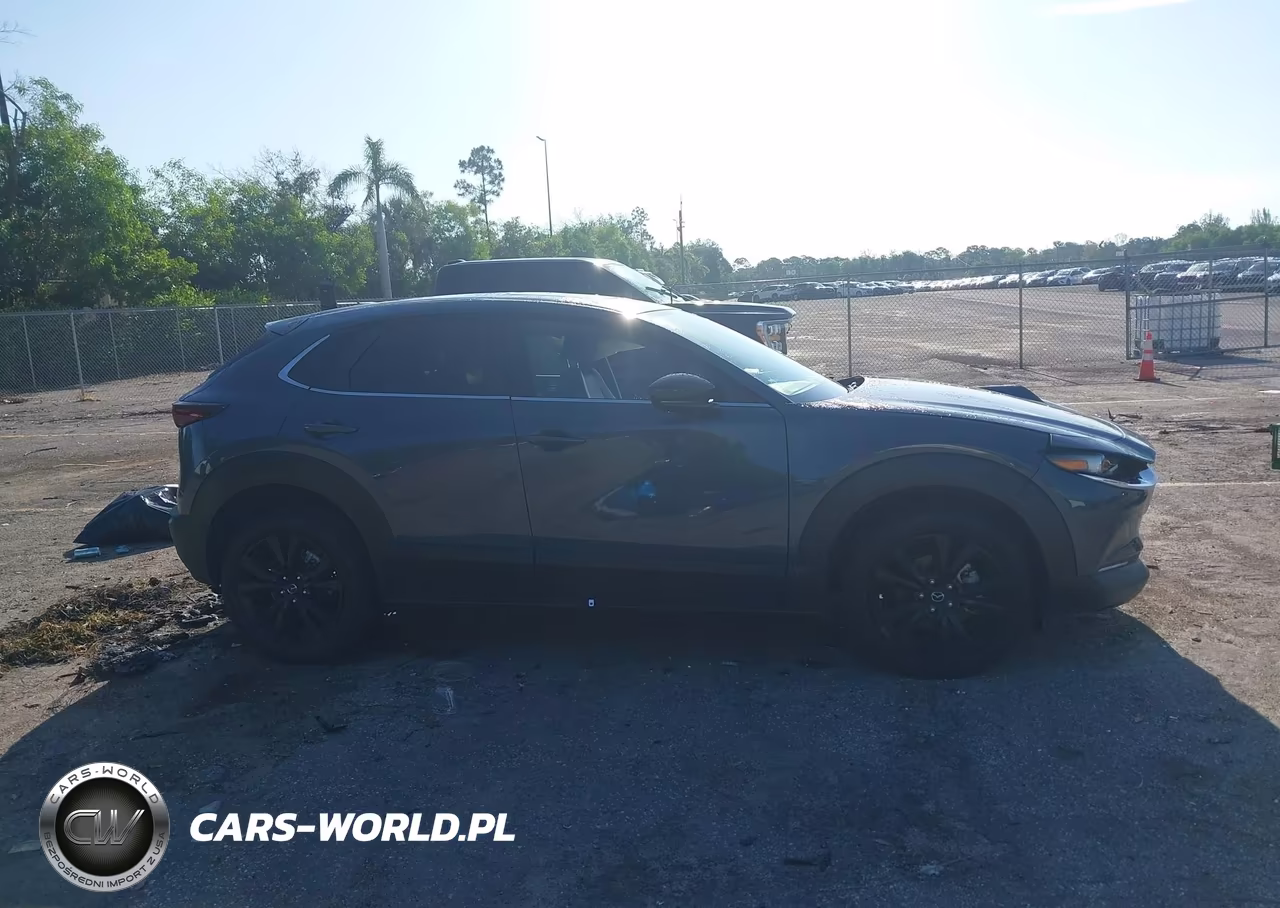 2024 Mazda Cx-30 2.5 S Carbon Edition VIN:3MVDMBCM0RM661018 - 12