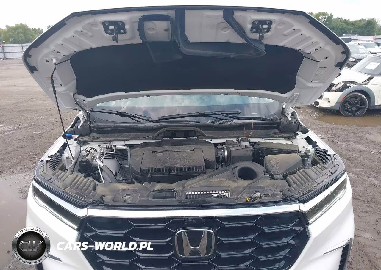 2025 Honda Pilot Elite VIN:5FNYG1H84SB124985 - 10