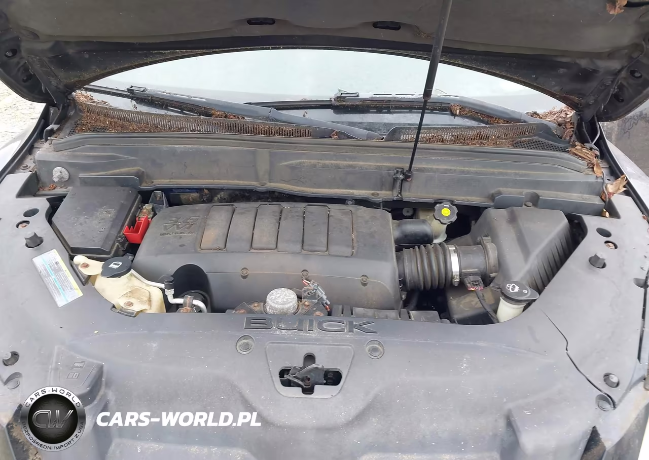 2009 Buick Enclave Cxl VIN:5GAEV23D69J206711 - 10