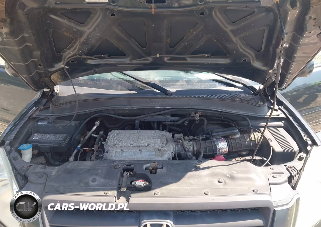 2003 Honda Pilot Exl VIN:2HKYF18613H613896 - 10