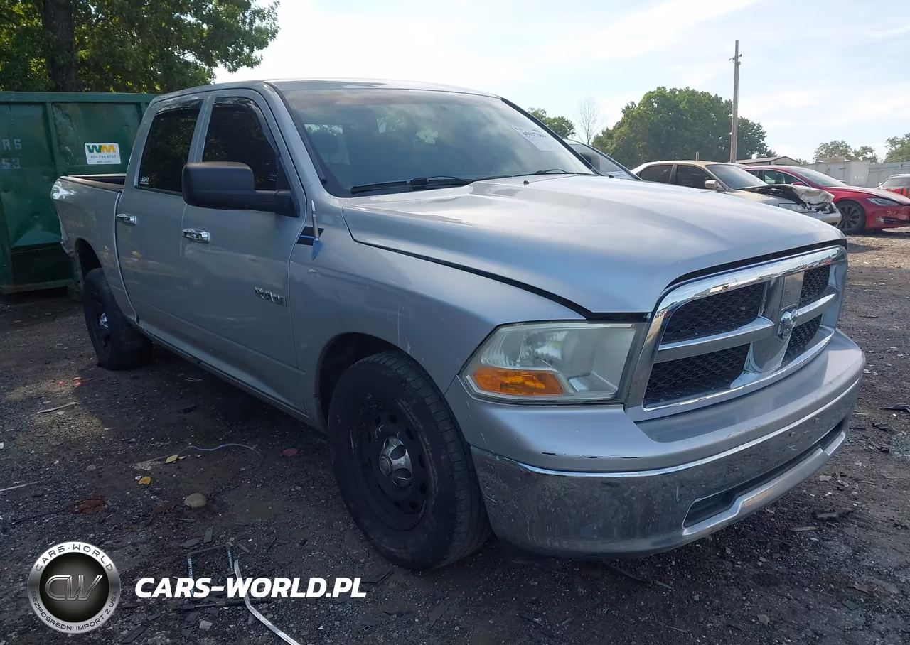 2010 Dodge Ram 1500 Slt-Sport-Trx VIN:1D7RB1CP5AS117147 - 6