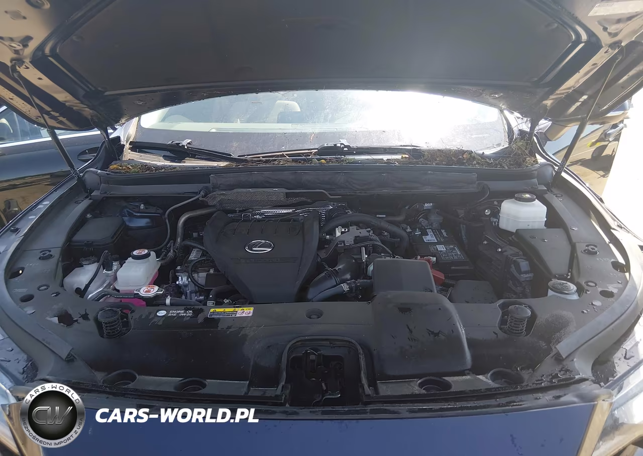 2023 Lexus Rx 350 Luxury VIN:2T2BAMBA3PC006034 - 10