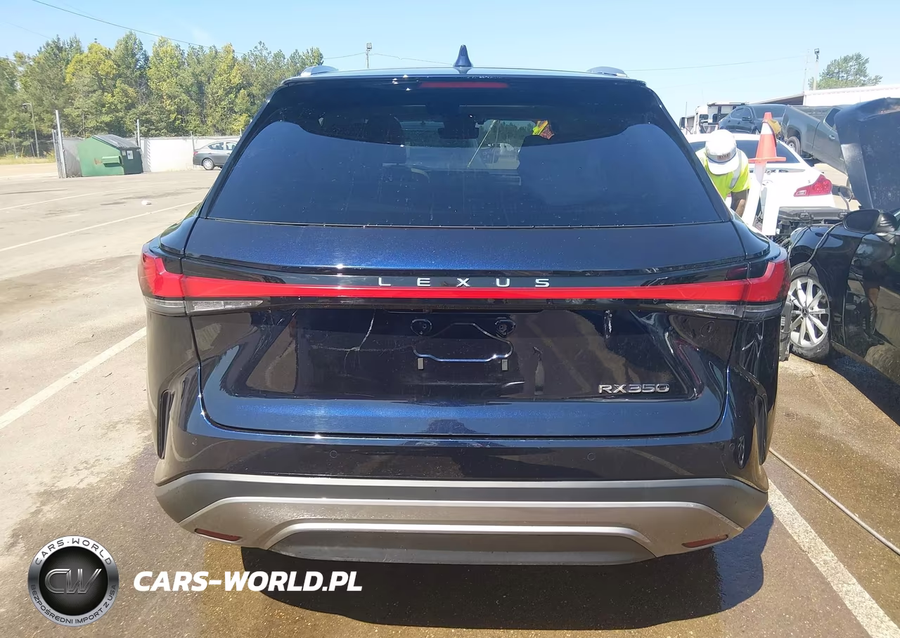 2023 Lexus Rx 350 Luxury VIN:2T2BAMBA3PC006034 - 16